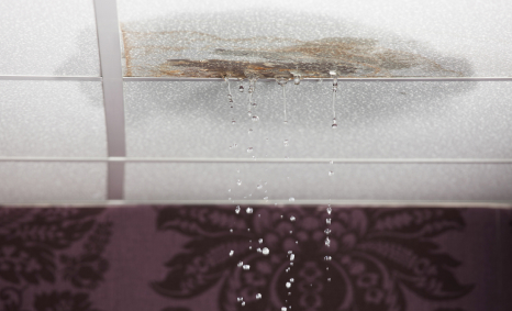 Plumber Avondale Heights